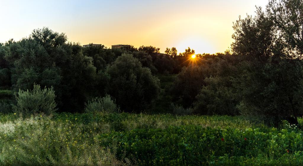 Riad Sougtani Tazrou エクステリア 写真