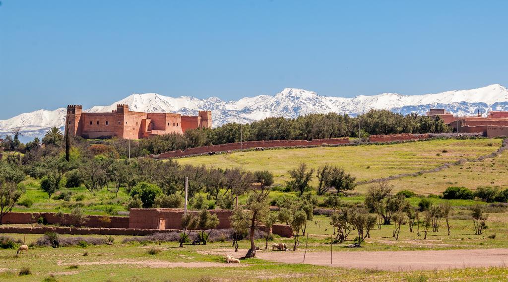 Riad Sougtani Tazrou エクステリア 写真